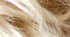 danish-blond-root.jpg